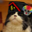 Meowlini