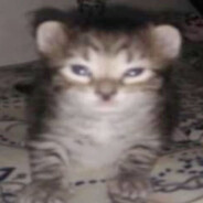 [𝑳𝑨𝒁𝒀] Koshak