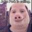 John Pork