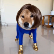 欧豆豆的斜刘海