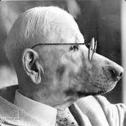 Slardog