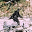 Legendary Creature