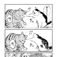 阿甘团团