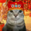虎皮猫6
