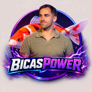 bicas power barretinho