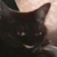 qᵘᵃⁿᵈᵃˡᵉ ᵈⁱⁿ
