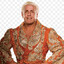 ric "nature boy" flair