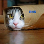 电脑玩家沃思鲽