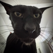 Avatar snapshot