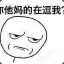 啥也不会你怕不怕
