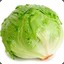 Beep Beep Lettuce