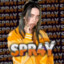 spr4y.exe