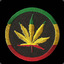 Rasta_James