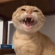 蘸豆中默认哈气