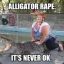 Alligator abuse