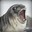 Spooked Seal