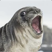 Spooked Seal