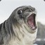 Spooked Seal