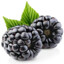 小黑莓