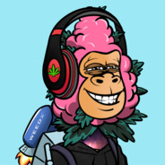 Oliveira_13 #TeamBBPT#