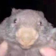 Bober Kurwa - steam id 76561199562376661