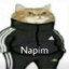 Napim