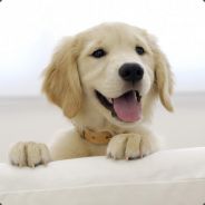 田小鹿 (库存回收)