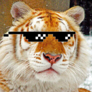TigerCJnl's avatar