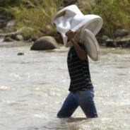 Анальный д(E)бошир