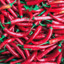 SpicyShit