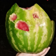 ,Florida