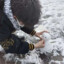 与君同行可好