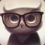 Hibou