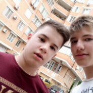 собачий корм