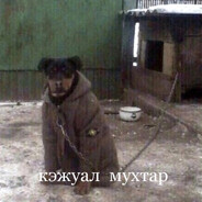 Старший