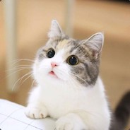 我不愿让你一个人