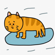 天天都是在小学里