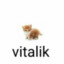 Vitaliks