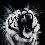 我在梦里与你相见