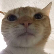 愿戴荣光坠入天渊