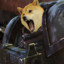 Doge Marine