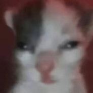 超强老六史蒂夫