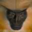 Martix
