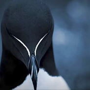 Avatar snapshot