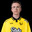 ropz 2025 yellow edition