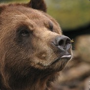 девушка с татуировкой казаха