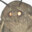 Moth