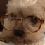 jennypup