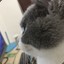 ٩(˃̶͈̀௰˂̶͈́)و