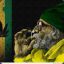 RASTA[KRG]